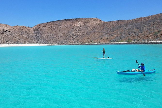 All-Inclusive Catamaran Tour | Beaches & Sea Lions from Los Cabos - Is $377 a Good Value?
