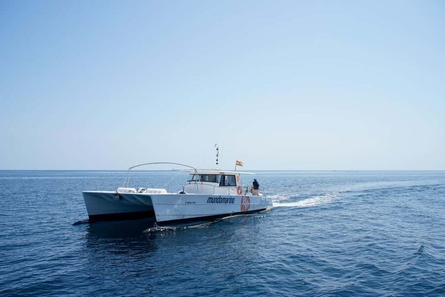 Altea: Motor Catamaran Boat Tour with Sunset Option - Should you book the Altea catamaran cruise?