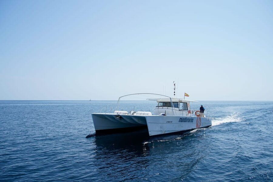 Altea: Motor catamaran with optional lunch and swimming stop - Seeing Altea from the Mundo Marino catamaran