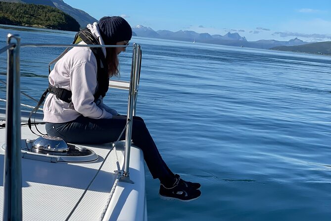 Arctic Fjordcruise & Safari in Tromso with Luxury Catamaran - What three hours gives you