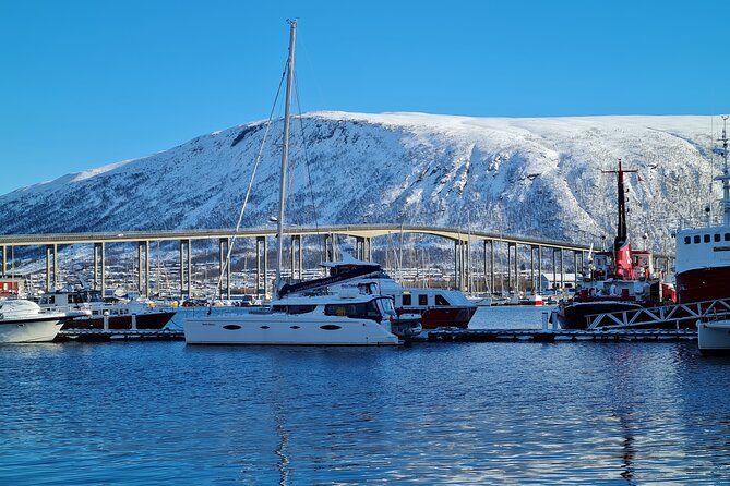 Arctic Fjordcruise & Safari in Tromso with Luxury Catamaran - Is the price good value?