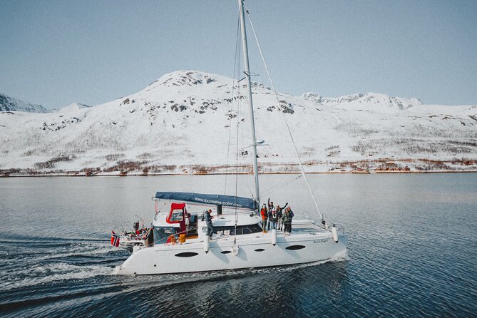 Arctic Fjordcruise & Safari in Tromso with Luxury Catamaran - A luxury catamaran built for changing weather