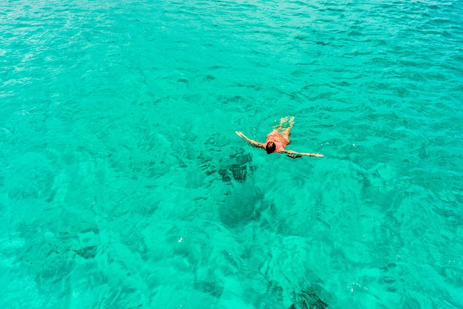 Aruba Afternoon Snorkel Sail aboard Palm Pleasure Catamaran - Who should book this afternoon sail
