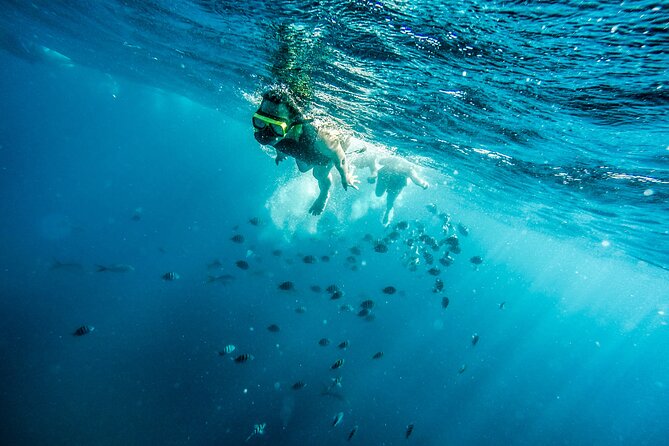 Aruba Afternoon Snorkel Sail aboard Palm Pleasure Catamaran - Floating above the SS Antilla