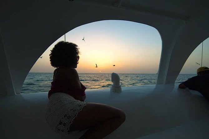 Aruba Sunset Sail Cruise Aboard The Dolphin Catamaran - Who should book this sunset sail?