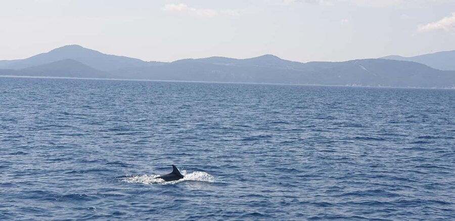 Athens Riviera Private Catamaran Cruise with Meal and Drinks - Key points to know before booking