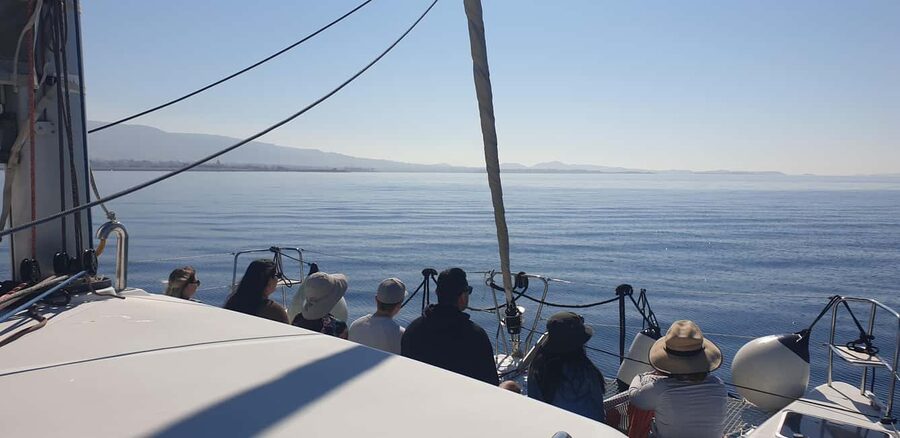 Athens Riviera Private Catamaran Cruise with Meal and Drinks - Weather, safety, and the practical compromises