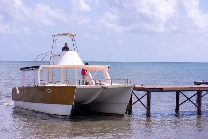 Bacardi Island Excursion with Catamaran, Beach and Lunch - Who will enjoy this excursion most?