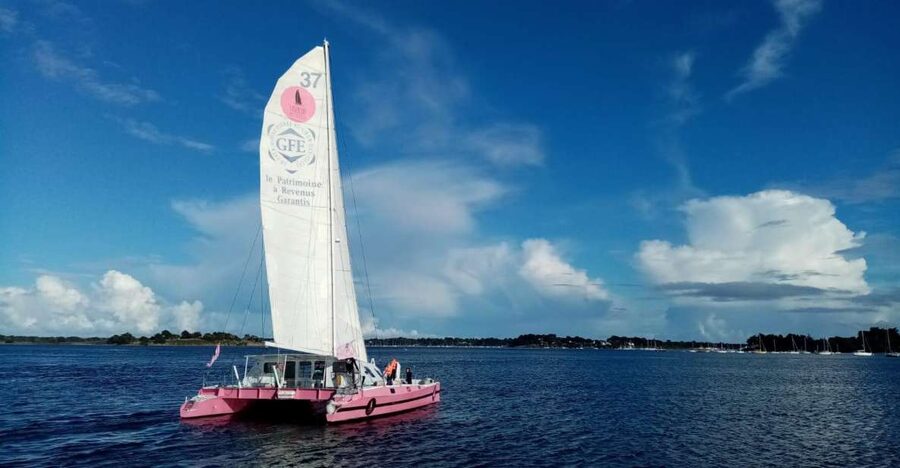 Baden: Gulf of Morbihan Exploration by Catamaran - Berder and the western side of the Gulf