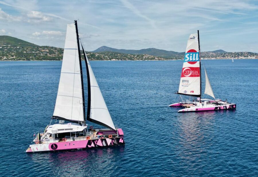 Baden: Gulf of Morbihan Exploration by Catamaran - The onboard aperitif