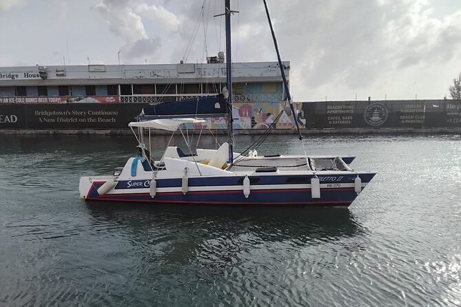 Barbados Catamaran Snorkel Cruise with Lunch and Open Bar - Who should book this cruise?