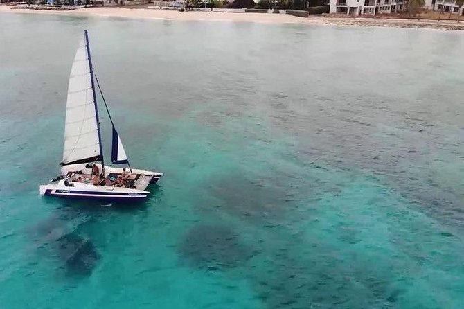 Barbados Catamaran Snorkel Cruise with Lunch and Open Bar - Carlisle Bay: turtles, fish, and possible wrecks