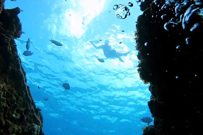 Barbados Catamaran Snorkeling Turtle and Shipwrecks tour - A Bajan buffet at sea