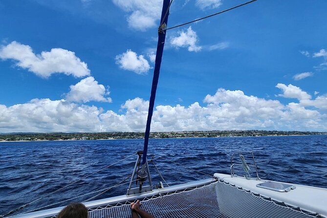 Barbados Catamaran Snorkeling Turtle and Shipwrecks tour - Weather, comfort, and practical concerns