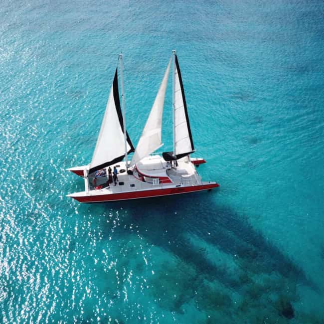Barbados: Catamaran Tour with Snorkeling and Lunch - The First Turtle Stop