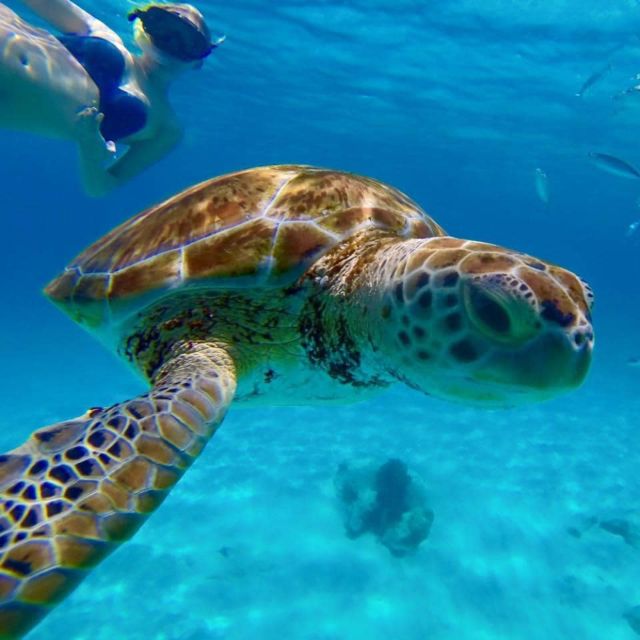 Barbados: Catamaran Tour with Snorkeling and Lunch - Crew Service and Safety in the Water