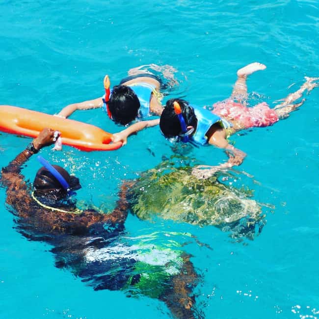 Barbados: Catamaran Tour with Snorkeling and Lunch - Shipwrecks, Fish, and Changing Conditions
