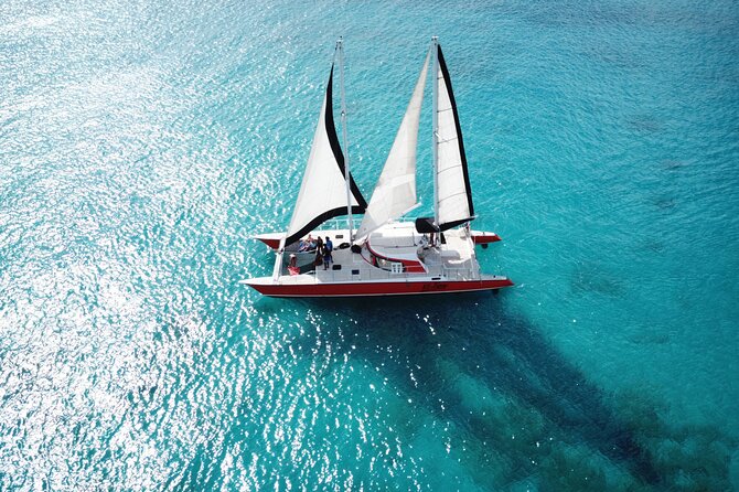 Barbados Catamaran Turtle and Shipwreck Snorkeling Cruise - The first 45-minute stop, turtles and coral