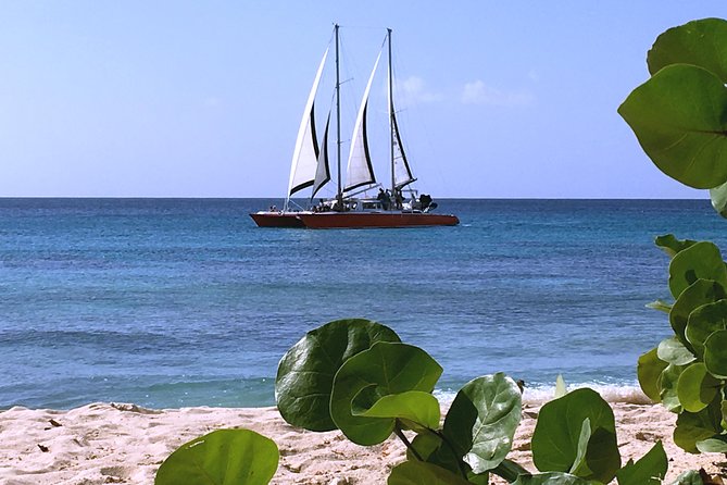 Barbados Catamaran Turtle and Shipwreck Snorkeling Cruise - Choosing the three-hour or five-hour cruise