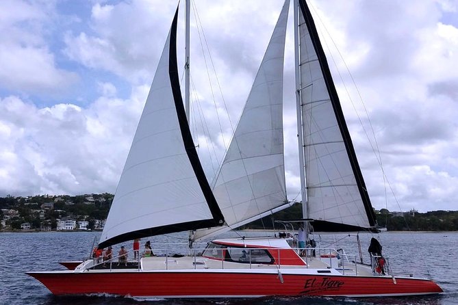 Barbados Catamaran Turtle and Shipwreck Snorkeling Cruise - Is $85 a good value in Barbados?