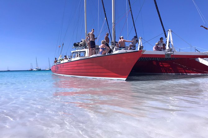 Barbados Catamaran Turtle and Shipwreck Snorkeling Cruise - Practical tips for a smoother day