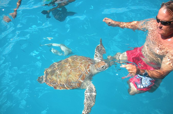 Barbados Catamaran Turtle Snorkel with Lunch and Open Bar - Help for beginners and less confident swimmers