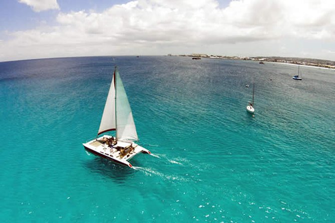 Barbados Catamaran Turtle Snorkel with Lunch and Open Bar - Lunch, snacks, and the open bar