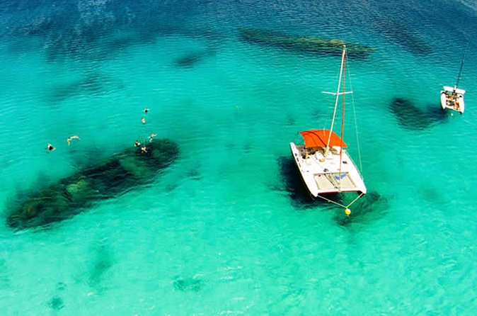 Barbados Catamaran Turtle Snorkel with Lunch and Open Bar - How the Stiletto fits into the experience
