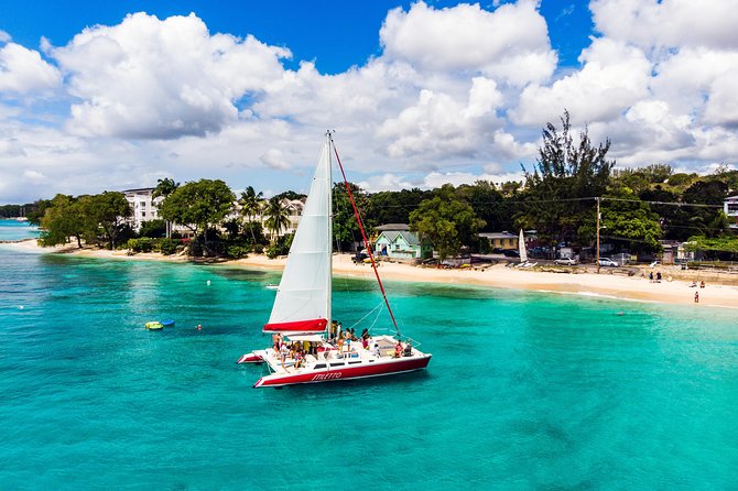 Barbados Catamaran Turtle Snorkel with Lunch and Open Bar - What the price includes, and what it does not