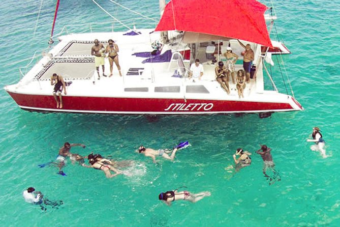 Barbados Catamaran Turtle Snorkel with Lunch and Open Bar - Carlisle Bay: turtles, wrecks, and warm water