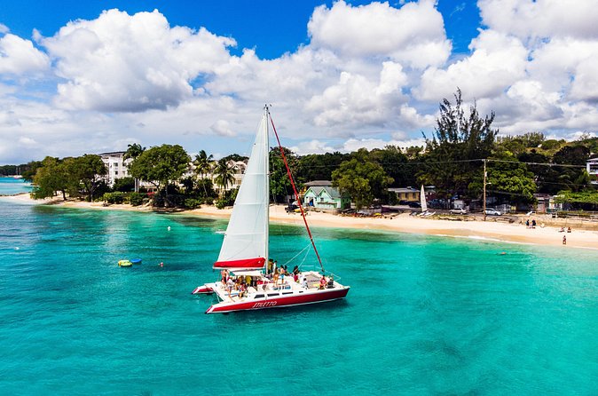 Barbados Catamaran Turtle Snorkel with Open Bar - Shipwrecks and underwater artifacts