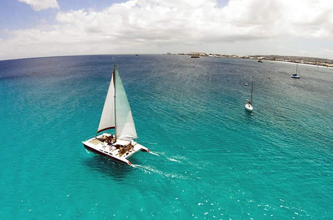 Barbados Catamaran Turtle Snorkel with Open Bar - Drinks, banana bread, and what is not included