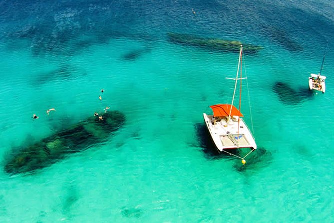 Barbados Catamaran Turtle Snorkel with Open Bar - How much value do you get for $85?