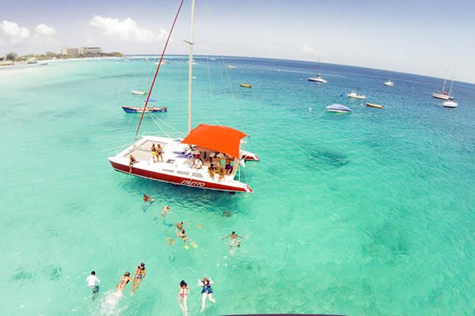 Barbados Catamaran Turtle Snorkel with Open Bar - Who should book this catamaran trip?