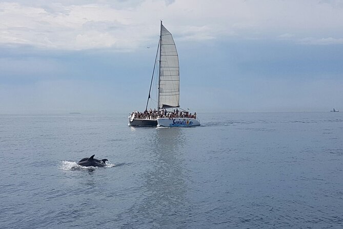 Barcelona Catamaran Party Tour For Young People - Is the price good value?