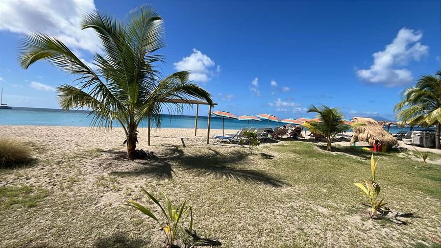 Basseterre: St. Kitts and Nevis Catamaran Tour with Lunch - What $120 Includes and Whether It Is Good Value