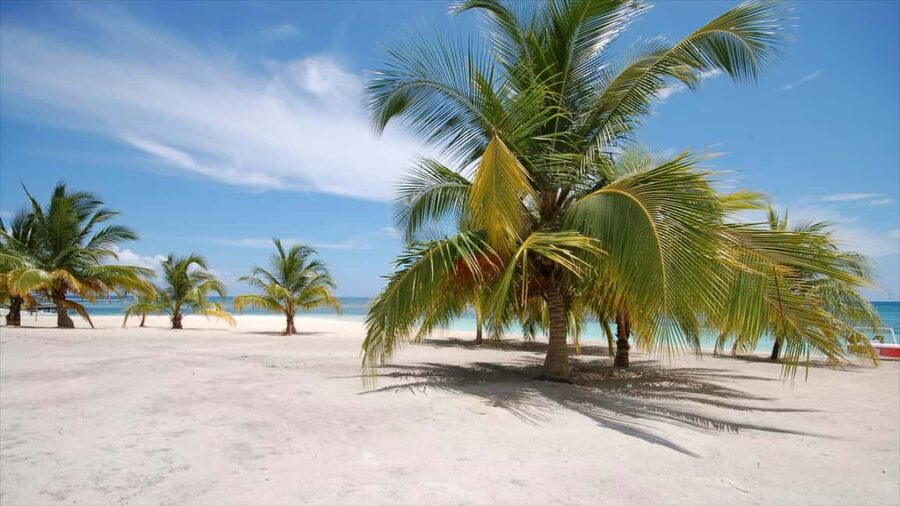 Bayahibe: Saona Island Sailing in catamaran with open bar - Key points to know before booking