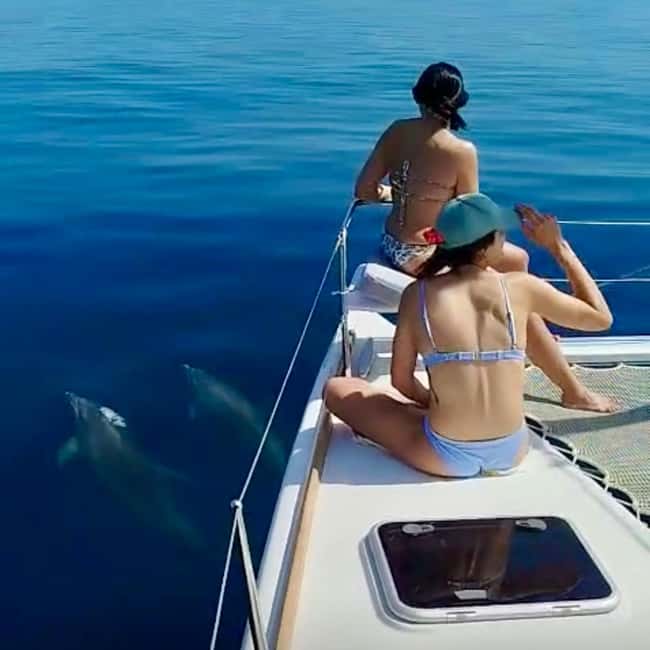 Benalmádena: Catamaran with dolphin watching and drinks - Key points to know before you book