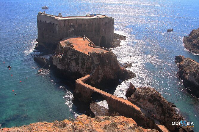 Berlengas Island Catamaran Tour - Round Trip - Wildlife, clear water, and the glass-bottom section