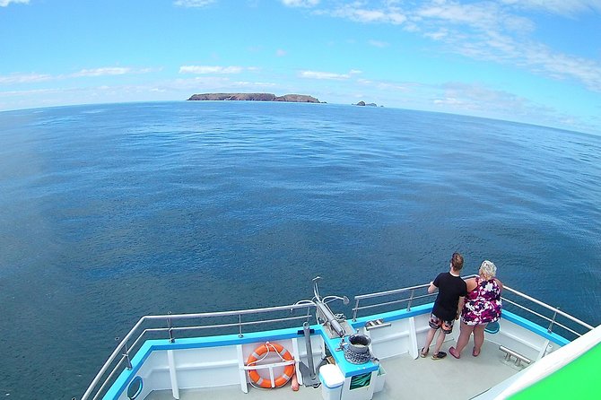 Berlengas Island Catamaran Tour - Round Trip - What the price includes, and what it does not