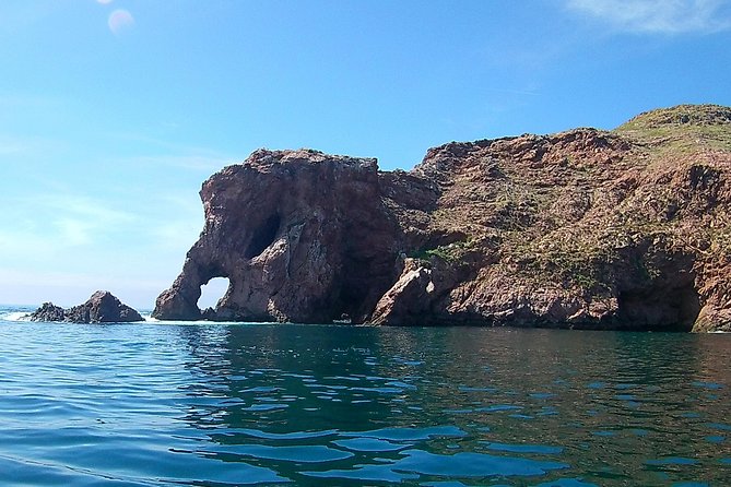 Berlengas Island Catamaran Tour - Round Trip - Practical preparation for a smoother day