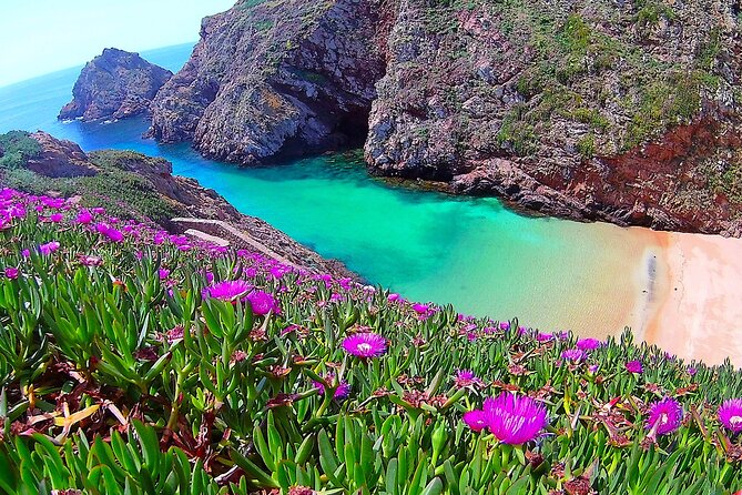 Berlengas Island Catamaran Tour - Round Trip - Fort St. John and the Duke of Bragança Lighthouse