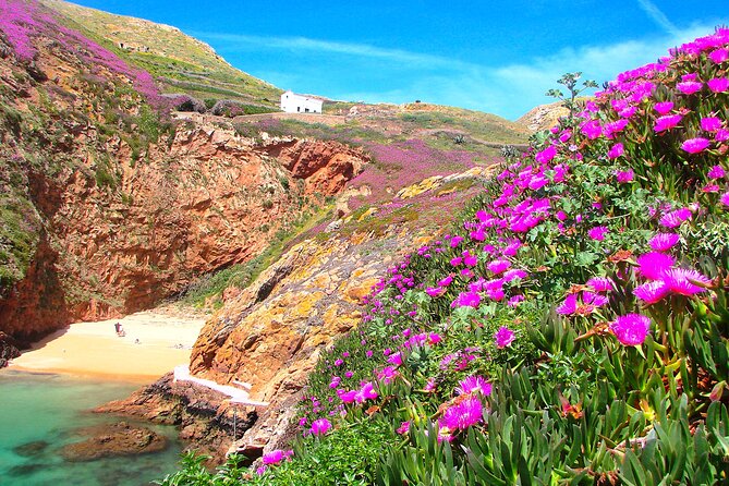 Berlengas Island Catamaran Tour + Snorkeling - Practical planning from Lisbon