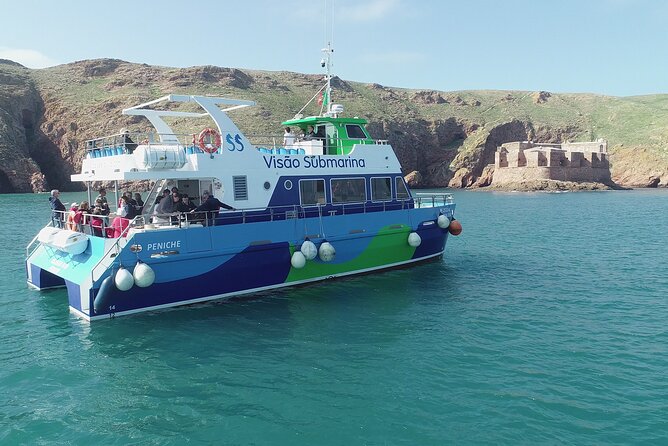 Berlengas Island Catamaran Tour + SUP - A protected setting, but not a wildlife guarantee