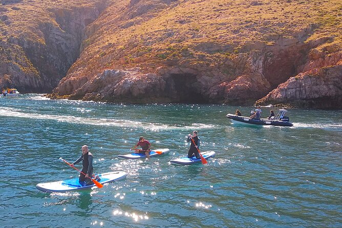 Berlengas Island Catamaran Tour + SUP - The weather question you should ask first