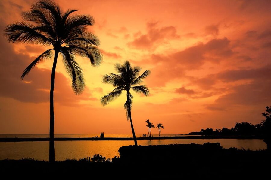 Big Island: Luxury Catamaran Trip along the Kona Coast - Should you book this Kona Coast cruise?
