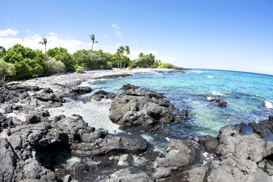 Big Island: Luxury Catamaran Trip along the Kona Coast - Setting out from Honokohau Harbor