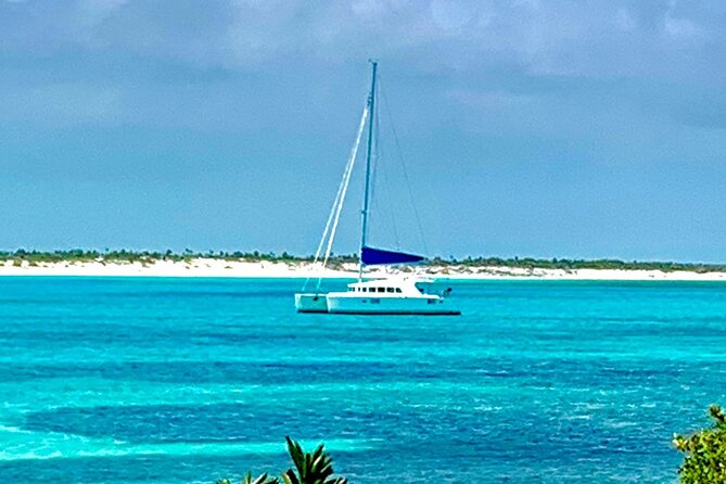 Bimini Charters - Private 3hr Catamaran Charters, Sail & Snorkel - Dolphins, turtles, and open-water watching