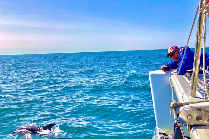 Bimini Charters - Private Luxury Catamaran 3-hr Sunset Sails - West Sambo Reef and the water activities