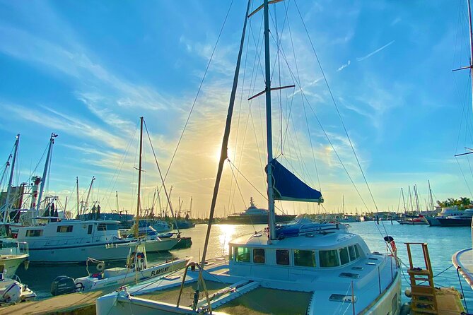 Bimini Charters - Private Luxury Catamaran 3-hr Sunset Sails - Dolphins, turtles, and the Key West coastline